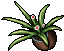 Pot Flower (II).gif