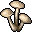 White mushroom.png