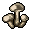 Wood mushroom.png