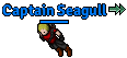 Captain Seagull.png