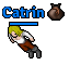 Catrin.png